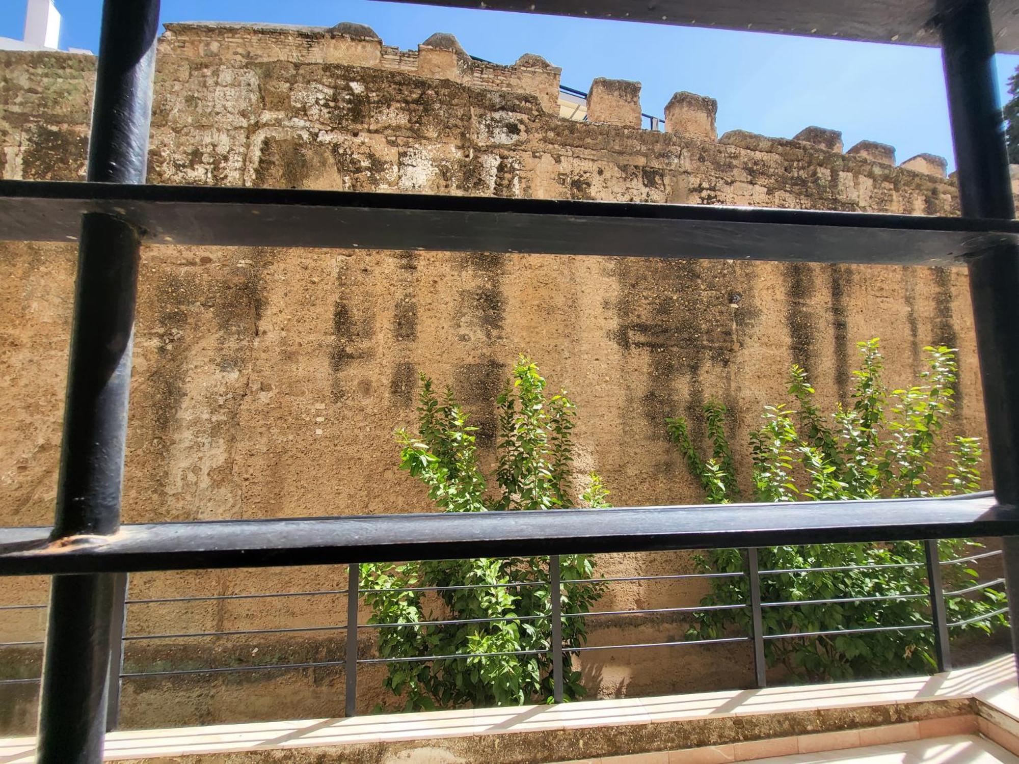 Rentalsevilla Sol Sevilha Exterior foto